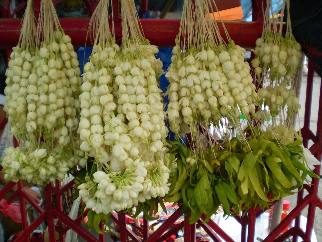 Not a Lei, a Promise: The Story of the Filipino Garland