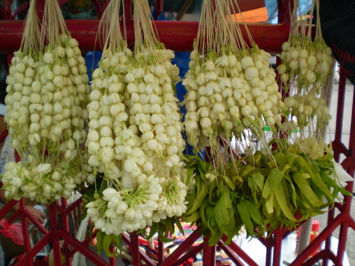 Not a Lei, a Promise: The Story of the Filipino Garland